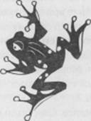 Иллюстрация к книге — Разрисованная мама [any2fbiw.jpg]