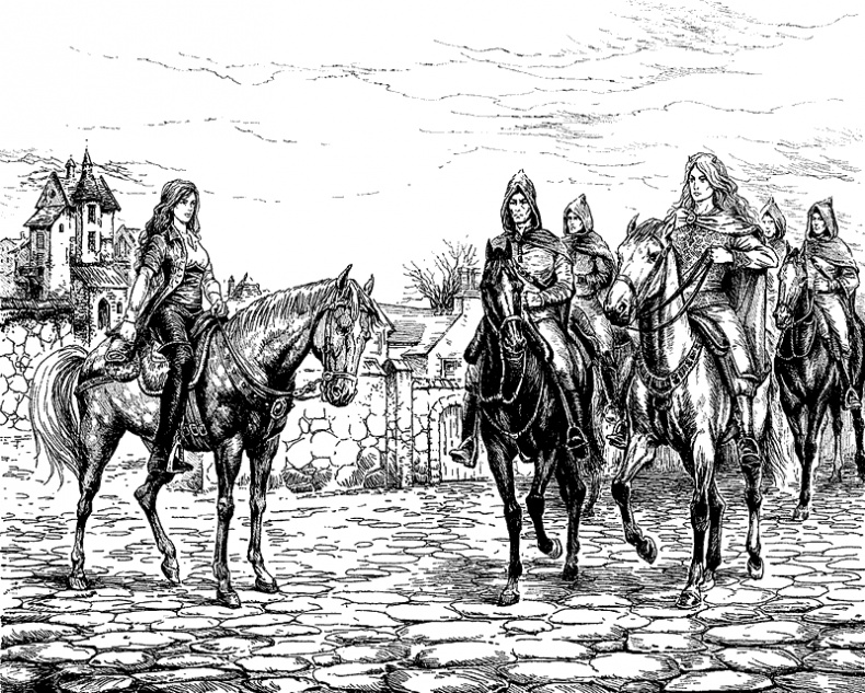 Иллюстрация к книге — Крылья феникса [i_001.png]