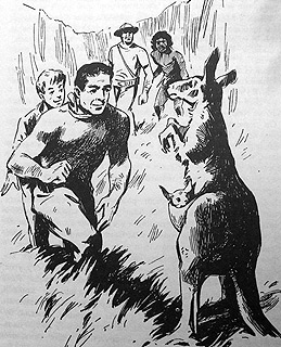 Иллюстрация к книге — Томек в стране кенгуру [pic13.jpg]