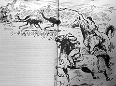 Иллюстрация к книге — Томек в стране кенгуру [pic15.jpg]