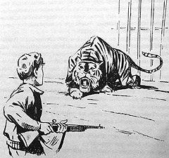 Иллюстрация к книге — Томек в стране кенгуру [pic9.jpg]