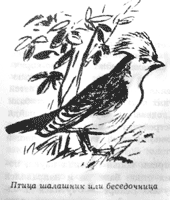Иллюстрация к книге — Томек среди охотников за человеческими головами [pic3.png]