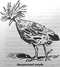 Иллюстрация к книге — Томек среди охотников за человеческими головами [pic44.png]