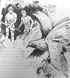 Иллюстрация к книге — Томек среди охотников за человеческими головами [pic45.png]