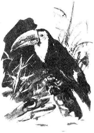 Иллюстрация к книге — Томек в Гран-Чако [pic09.png]