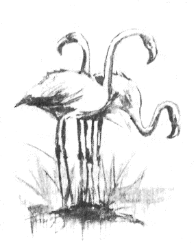 Иллюстрация к книге — Томек в стране фараонов [pic06.png]