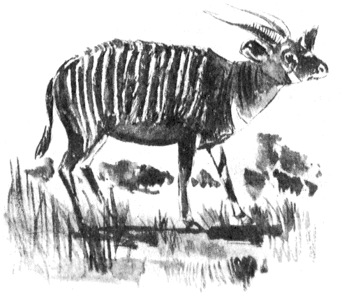 Иллюстрация к книге — Томек в стране фараонов [pic07.png]