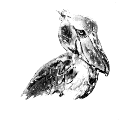 Иллюстрация к книге — Томек в стране фараонов [pic11.png]