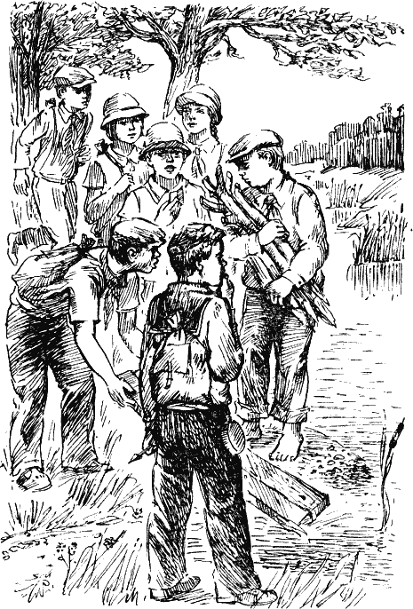 Иллюстрация к книге — Васек Трубачев и его товарищи [i_011.png]