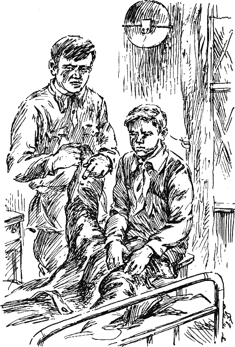 Иллюстрация к книге — Васек Трубачев и его товарищи [i_037.png]