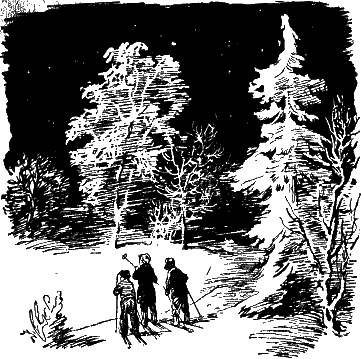 Иллюстрация к книге — Васек Трубачев и его товарищи. Книга 1 [i_007.png]