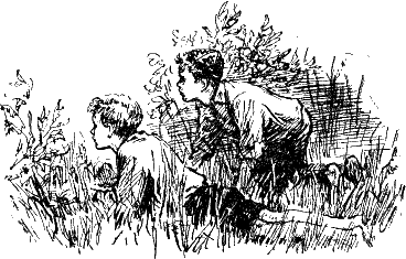 Иллюстрация к книге — Васек Трубачев и его товарищи. Книга 2 [i_011.png]