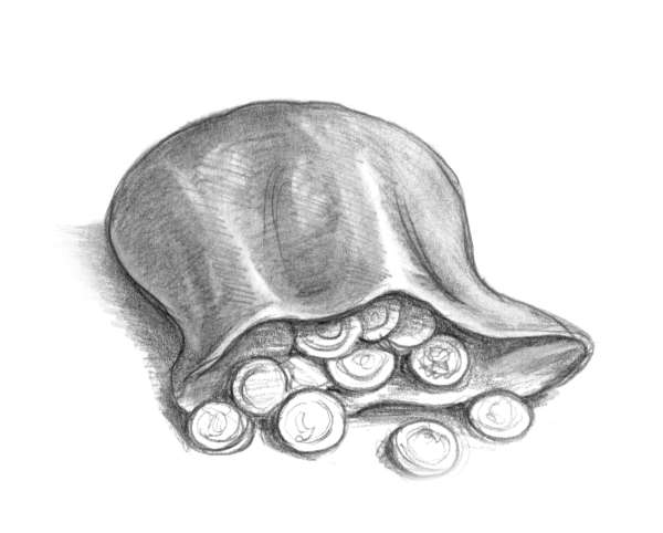 Иллюстрация к книге — Динка прощается с детством [i_027.jpg]