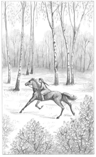 Иллюстрация к книге — Динка прощается с детством [i_028.jpg]