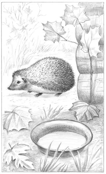 Иллюстрация к книге — Динка прощается с детством [i_031.jpg]