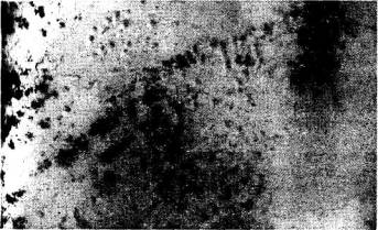 Иллюстрация к книге — Государство страха [i_006.jpg]