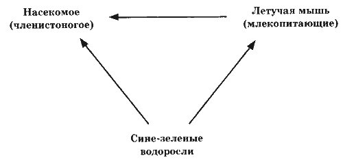 Иллюстрация к книге — Печать Иуды [_85.png]