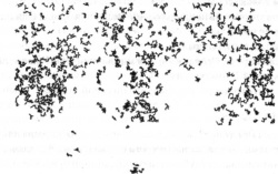 Иллюстрация к книге — Последний оракул [_08.jpg]