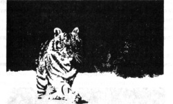 Иллюстрация к книге — Последний оракул [_10.jpg]