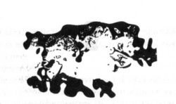 Иллюстрация к книге — Последний оракул [_13.jpg]