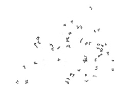 Иллюстрация к книге — Последний оракул [_30.jpg]