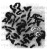 Иллюстрация к книге — Ключ Судного дня [_09.jpg]