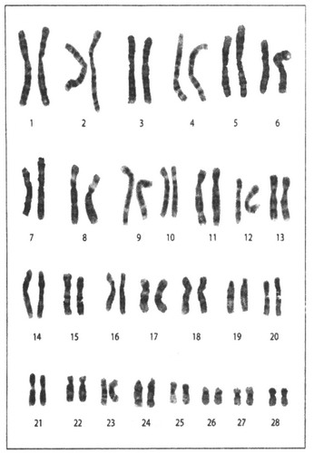 Иллюстрация к книге — Алтарь Эдема [doc2fb_image_02000004.jpg]