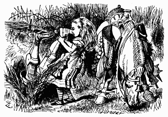 Иллюстрация к книге — Сквозь зеркало и что там увидела Алиса, или Алиса в Зазеркалье [bdtofb2im_42.png]