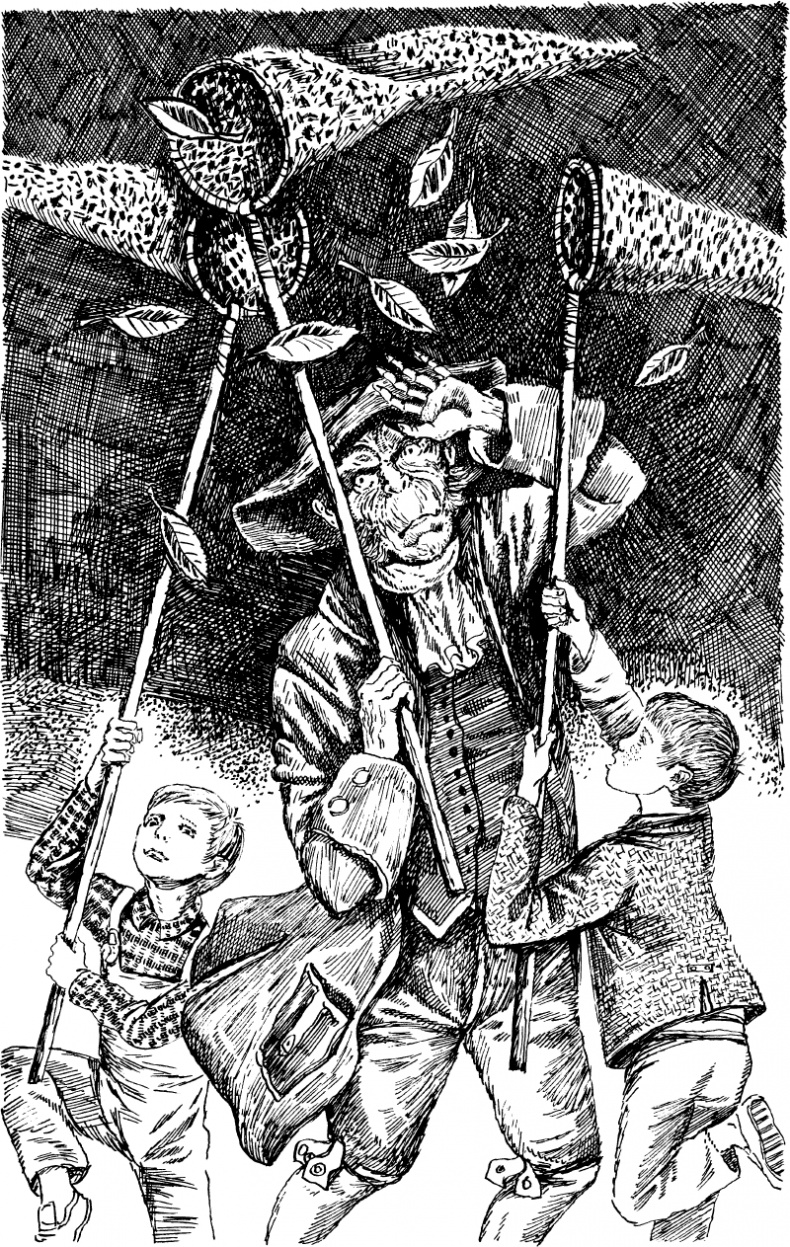 Иллюстрация к книге — Вихри волшебства [i_010.png]