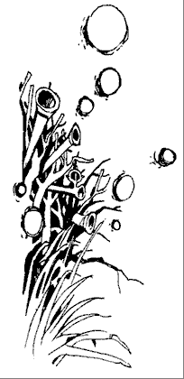 Иллюстрация к книге — Зуб Уилкинса [_37.png]