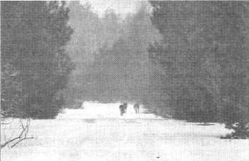 Иллюстрация к книге — Чернобыль, Припять, далее Нигде… [i_017.jpg]