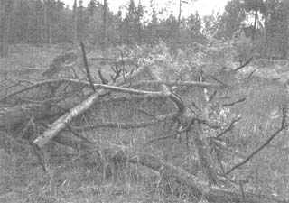 Иллюстрация к книге — Чернобыль, Припять, далее Нигде… [i_041.jpg]