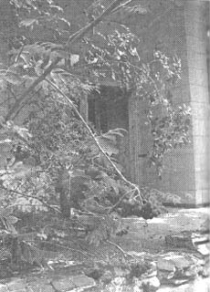 Иллюстрация к книге — Чернобыль, Припять, далее Нигде… [i_070.jpg]