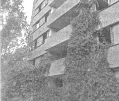 Иллюстрация к книге — Чернобыль, Припять, далее Нигде… [i_098.jpg]