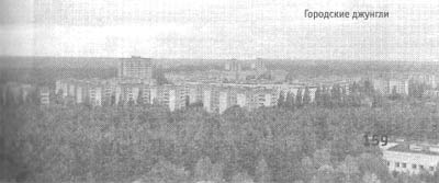 Иллюстрация к книге — Чернобыль, Припять, далее Нигде… [i_101.jpg]