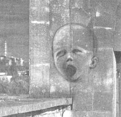 Иллюстрация к книге — Чернобыль, Припять, далее Нигде… [i_102.jpg]