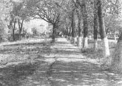 Иллюстрация к книге — Чернобыль, Припять, далее Нигде… [i_111.jpg]