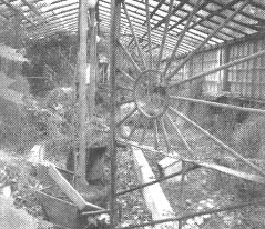 Иллюстрация к книге — Чернобыль, Припять, далее Нигде… [i_136.jpg]