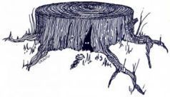 Иллюстрация к книге — Сказки барда Бидля [pic_8.jpg]