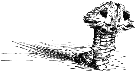 Иллюстрация к книге — Рыжий и Полосатый [i_006.png]