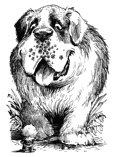 Иллюстрация к книге — Рыжий и Полосатый [i_010.png]