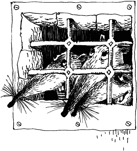 Иллюстрация к книге — Возвращение Рыжего и Полосатого [i_010.png]