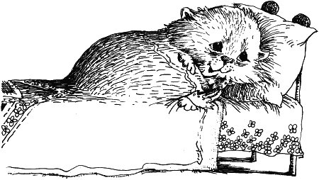 Иллюстрация к книге — Возвращение Рыжего и Полосатого [i_016.png]