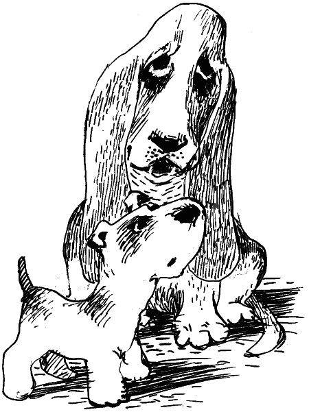 Иллюстрация к книге — Орден фарфоровых рыцарей [i_001.png]