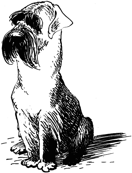 Иллюстрация к книге — Орден фарфоровых рыцарей [i_002.png]