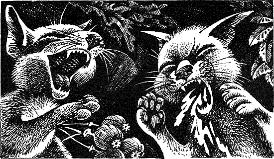 Иллюстрация к книге — Пророчество Синей Звезды. Начало [i_003.png]