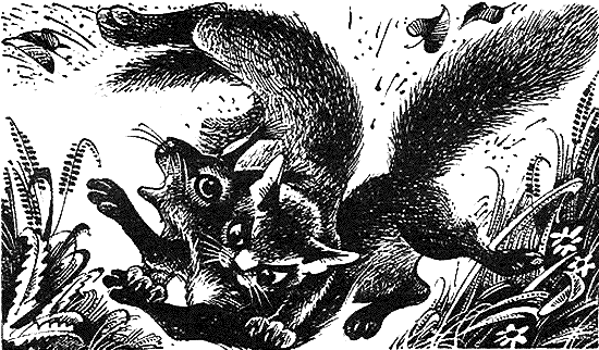 Иллюстрация к книге — Пророчество Синей Звезды. Начало [i_006.png]