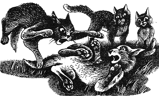 Иллюстрация к книге — Пророчество Синей Звезды. Начало [i_013.png]