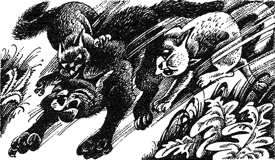 Иллюстрация к книге — Пророчество Синей Звезды. Начало [i_014.png]