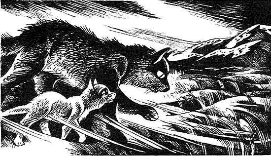 Иллюстрация к книге — Пророчество Синей Звезды. Начало [i_018.png]